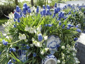 Keukenhof- 