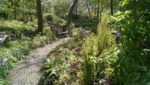 Hortus Botanicus Leiden