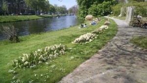 park areas along canals