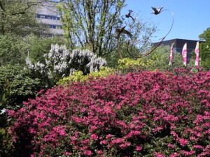 Systemic Garden