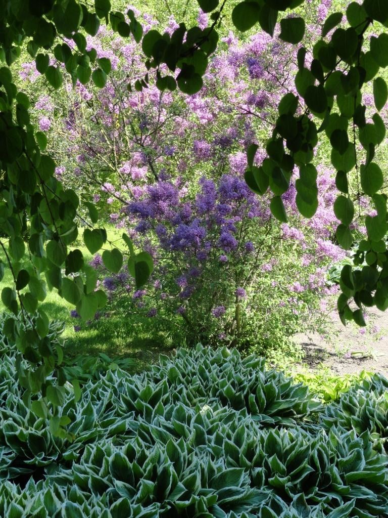 Utrecht Bot Garden