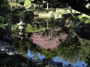 Brisbane Botanical Garden