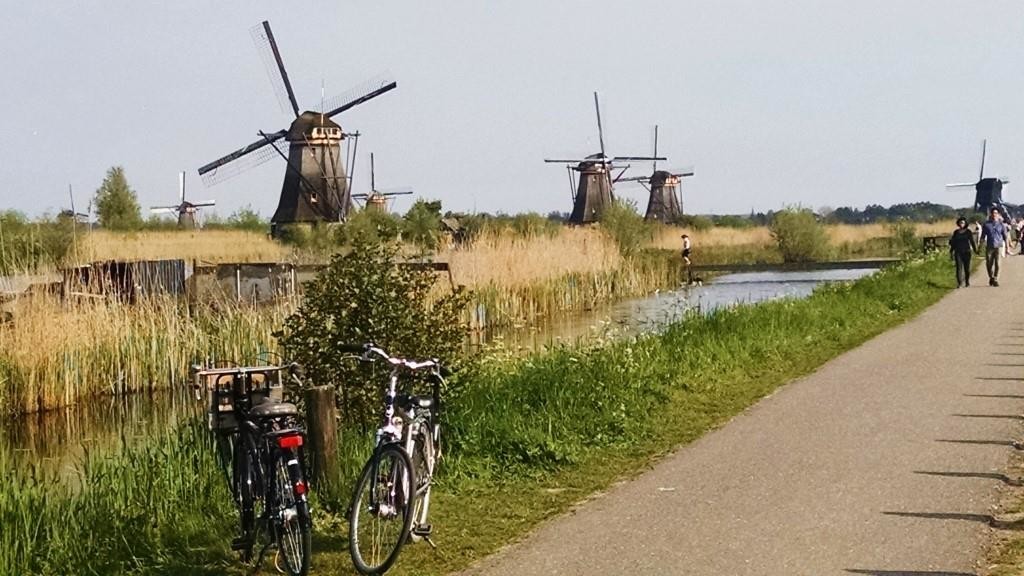 Netherlands Gardens: Stereotypical Netherland image