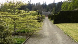 6-0512-blair-castle-34