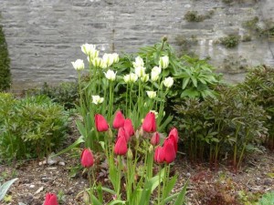 6-0512-blair-castle-39