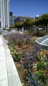 8-yerba-buena-gardens-4