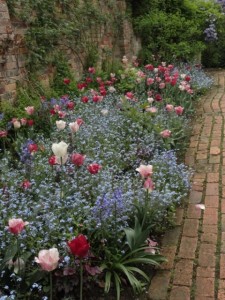 10-hidcote-1