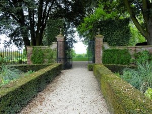 10-hidcote-4