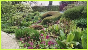 10-hidcote-9