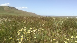 Shell Creek Rd 4/20/17