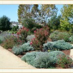 landscape design, garden design, vvm designs