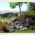 landscape design, garden design, vvm designs