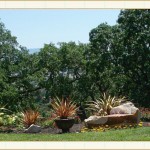 landscape design, garden design, vvm designs