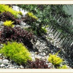 landscape design, garden design, vvm designs