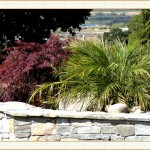 landscape design, garden design, vvm designs