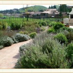 landscape design, garden design, vvm designs