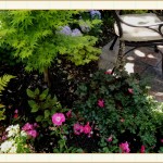 landscape design, garden design, vvm designs