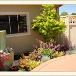 landscape design, garden design, vvm designs