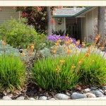 landscape design, garden design, vvm designs