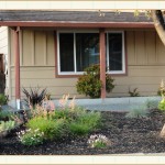 landscape design, garden design, vvm designs