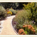 landscape design, garden design, vvm designs