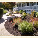 landscape design, garden design, vvm designs