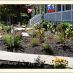 landscape design, garden design, vvm designs