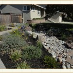 landscape design, garden design, vvm designs