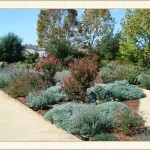 landscape design, garden design, vvm designs