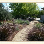 landscape design, garden design, vvm designs