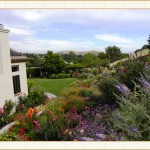 landscape design, garden design, vvm designs