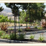 work14, landscape design, garden design, vvm designs