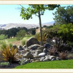 landscape design, garden design, vvm designs