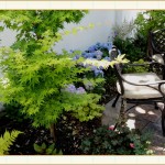 landscape design, garden design, vvm designs