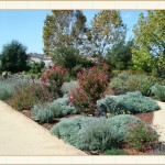 landscape design, garden design, vvm designs