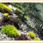 landscape design, garden design, vvm designs