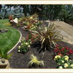 landscape design, garden design, vvm designs