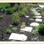 landscape design, garden design, vvm designs