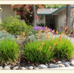 landscape design, garden design, vvm designs