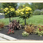 landscape design, garden design, vvm designs