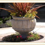 container01_Framed, landscape containers, landscape design, garden design, vvm designs