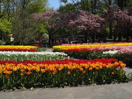 Keukenhof